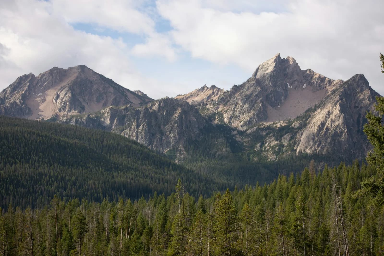 The granite spires of Idaho's Sawtooth Range rising above a broad slope of dense evergreen forest under scattered cloud.